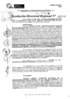 Vista preliminar de documento RDR 11594-2024