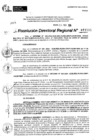 Vista preliminar de documento RDR 11595-2024