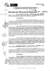 Vista preliminar de documento RDR 11596-2024