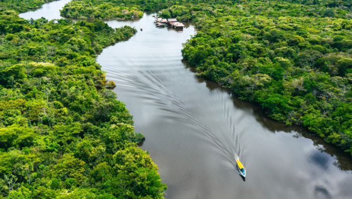 1 NP Amazonía