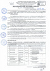 Vista preliminar de documento RD Nº 041 - 2025