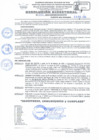 Vista preliminar de documento RD Nº 043 - 2025