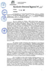 Vista preliminar de documento 017 2025