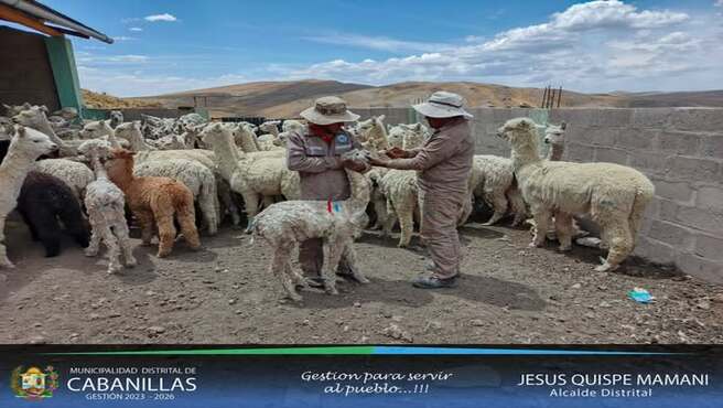 Fotografía Nro 01