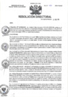 Vista preliminar de documento R.D N° 030-2025-HMA-DG