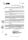 Vista preliminar de documento RDR 11600-2024