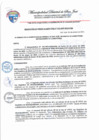 Vista preliminar de documento Resolución Gerencial N.° 019-2025-MDSJ-GM