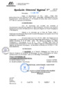 Vista preliminar de documento 019 2025