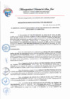Vista preliminar de documento 020-2025-MDSJ-GM