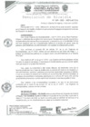 Vista preliminar de documento RESOLUCIÓN DE ALCALDÍA N° 009