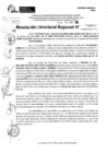 Vista preliminar de documento RDR 11607-2024