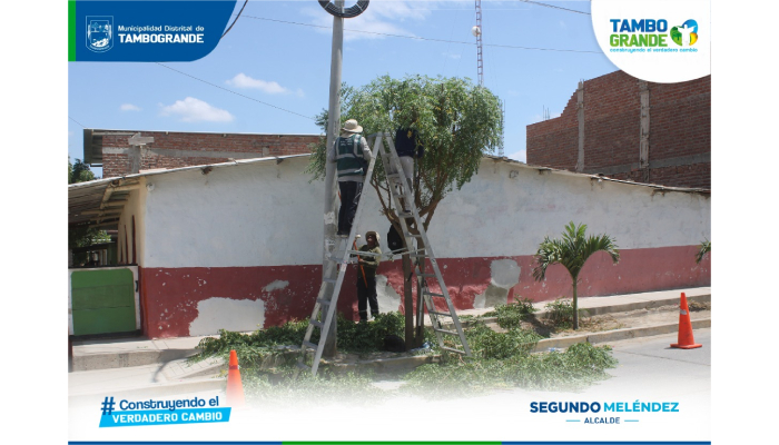 Comuna realiza poda de árboles en la calle Prolongación Morropón