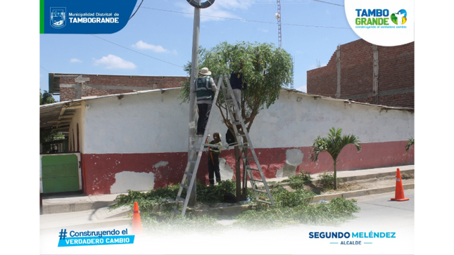  Comuna realiza poda de árboles en la calle Prolongación Morropón