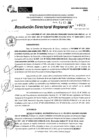 Vista preliminar de documento RDR 11611-2024
