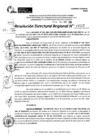 Vista preliminar de documento RDR 11612-2024