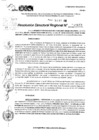 Vista preliminar de documento RDR 11613-2024