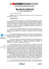 Vista preliminar de documento RESOLUCION JEFATURAL 009-2025