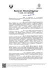 Vista preliminar de documento RDR Nº 0039-2025-GRSM-DRE