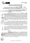 Vista preliminar de documento RDR 11615-2024