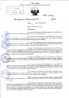 Vista preliminar de documento R.D N° 101-2025