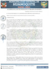 Vista preliminar de documento ACM 009