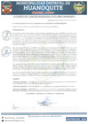 Vista preliminar de documento ACM 011