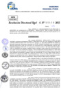 Vista preliminar de documento Resolucion Directoral N° 000312-2025