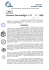 Vista preliminar de documento Resolucion Directoral N° 000313-2025