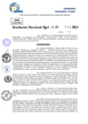 Vista preliminar de documento Resolucion Directoral N° 000314-2025