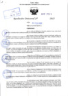 Vista preliminar de documento R.D N° 111-2025
