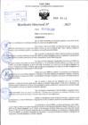 Vista preliminar de documento R.D N° 115-2025