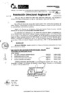 Vista preliminar de documento RDR 11622-2024