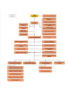 Vista preliminar de documento Organigrama-MDSS