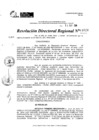 Vista preliminar de documento RDR 11626-2024