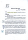 Vista preliminar de documento R.D 028-DG-25