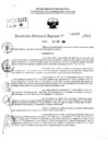 Vista preliminar de documento RDR 11630-2024