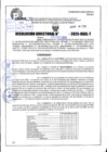 Vista preliminar de documento R.D N° 126-2025