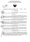 Vista preliminar de documento RDR 11631-2024