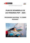Vista preliminar de documento PDP _2025