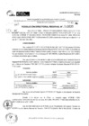 Vista preliminar de documento RDR 11635-2024