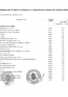 Vista preliminar de documento ANEXO N°06 - APROBACIÓN DE MODIFICACION AL CMN N°00021