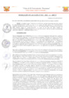 Vista preliminar de documento RA 15
