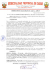 Vista preliminar de documento RA 19