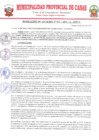 Vista preliminar de documento RA 22