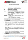 Vista preliminar de documento INFORME N°246-2025