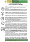 Vista preliminar de documento RGM-079-2025-GM-MPLC