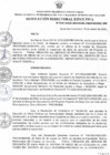 Vista preliminar de documento Resolución Directoral Ejecutiva Nº 026-2025-MIDAGRI-PROVRAEM/DE