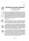 Vista preliminar de documento RER 047-2025-GOB