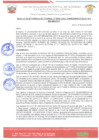 Vista preliminar de documento df_252683.007_RESOLUCION GDTI N 0142025