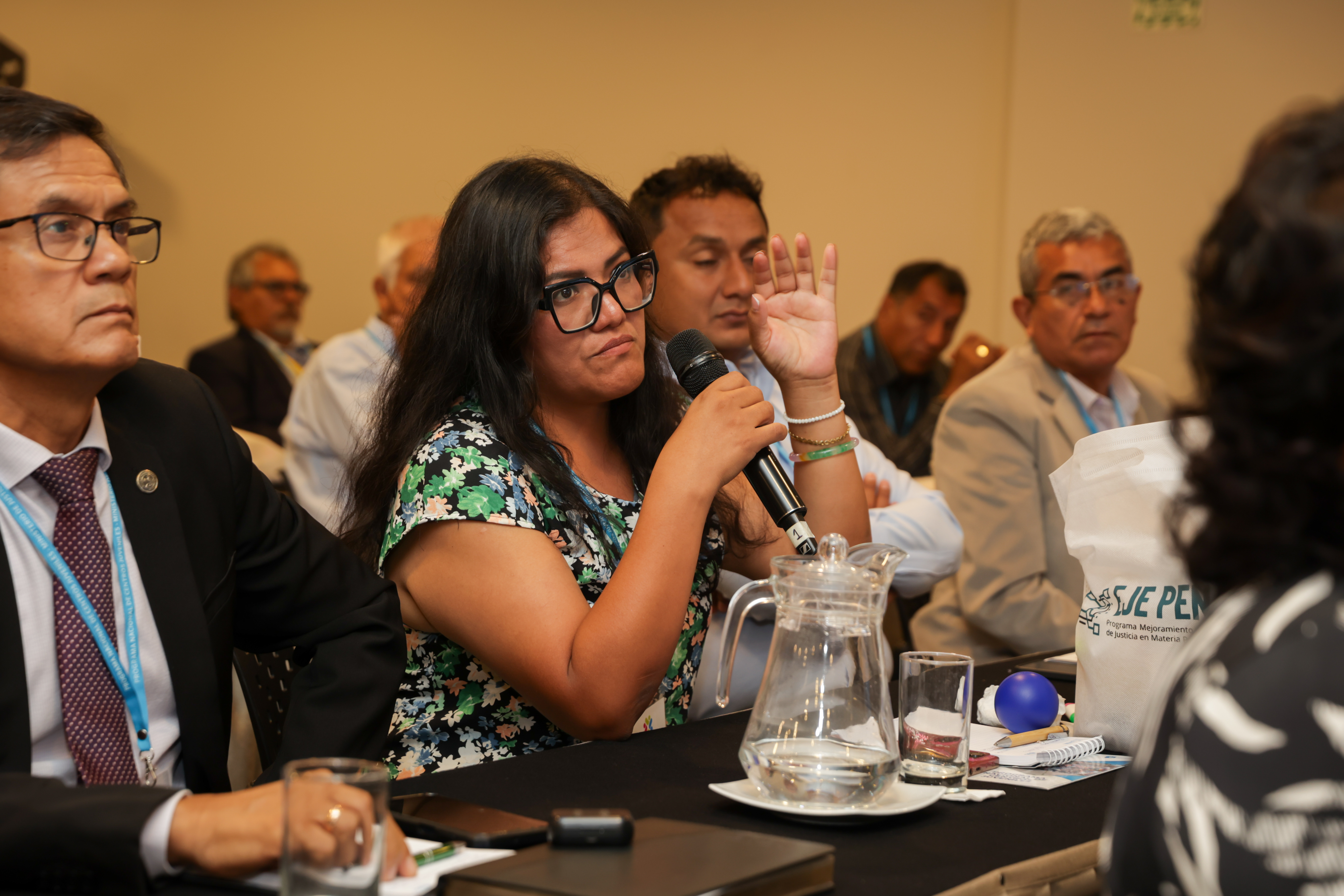 Presentación del sistema